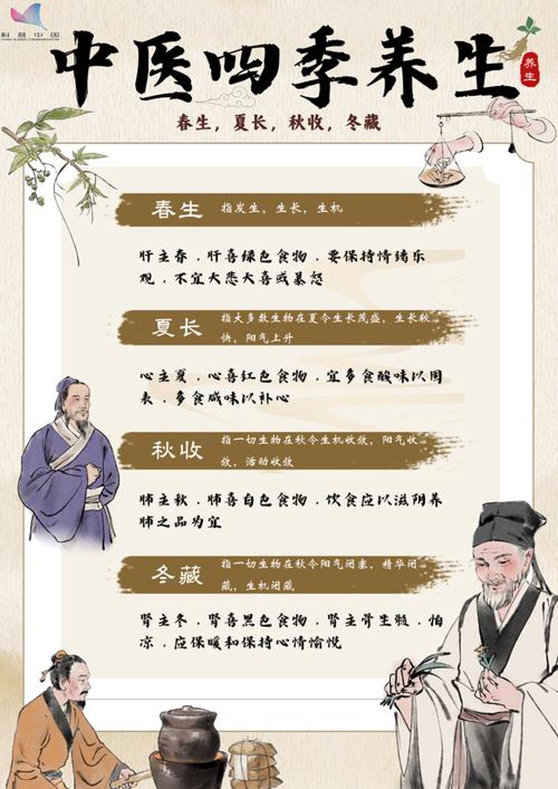 费氏中医：探索传统与现代的完美融合
